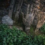 xilitla12